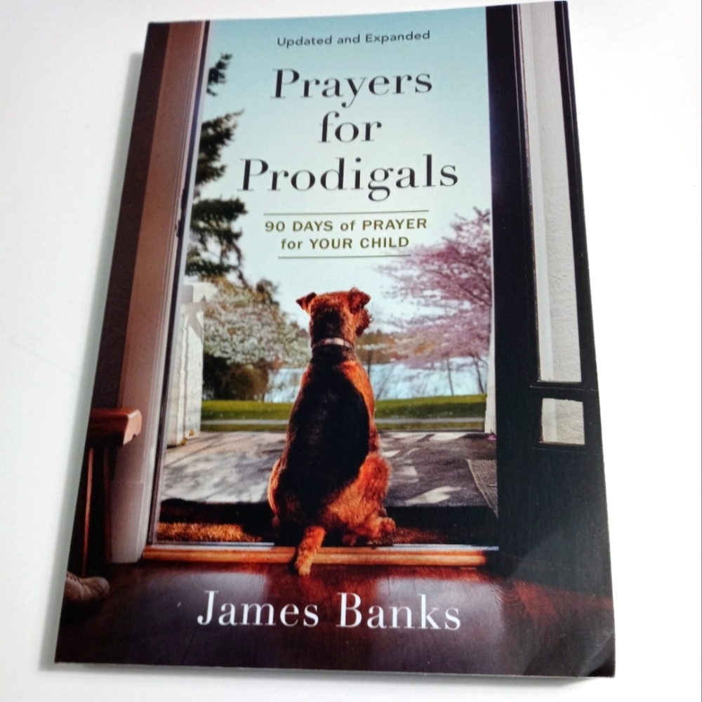 🏖 Prayers for Prodigals 90 Days of Prayer for Your Child by James Banks NIB